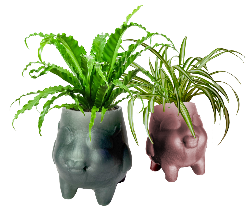 Florish Botanical Vessel
