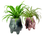 Florish Botanical Vessel