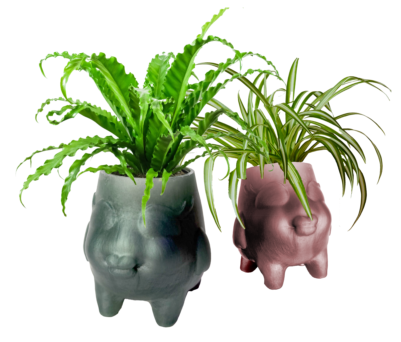Florish Botanical Vessel