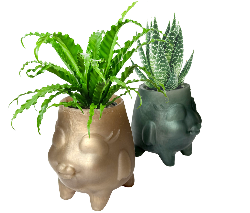 Florish Botanical Vessel