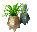 Florish Botanical Vessel