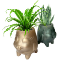 Florish Botanical Vessel