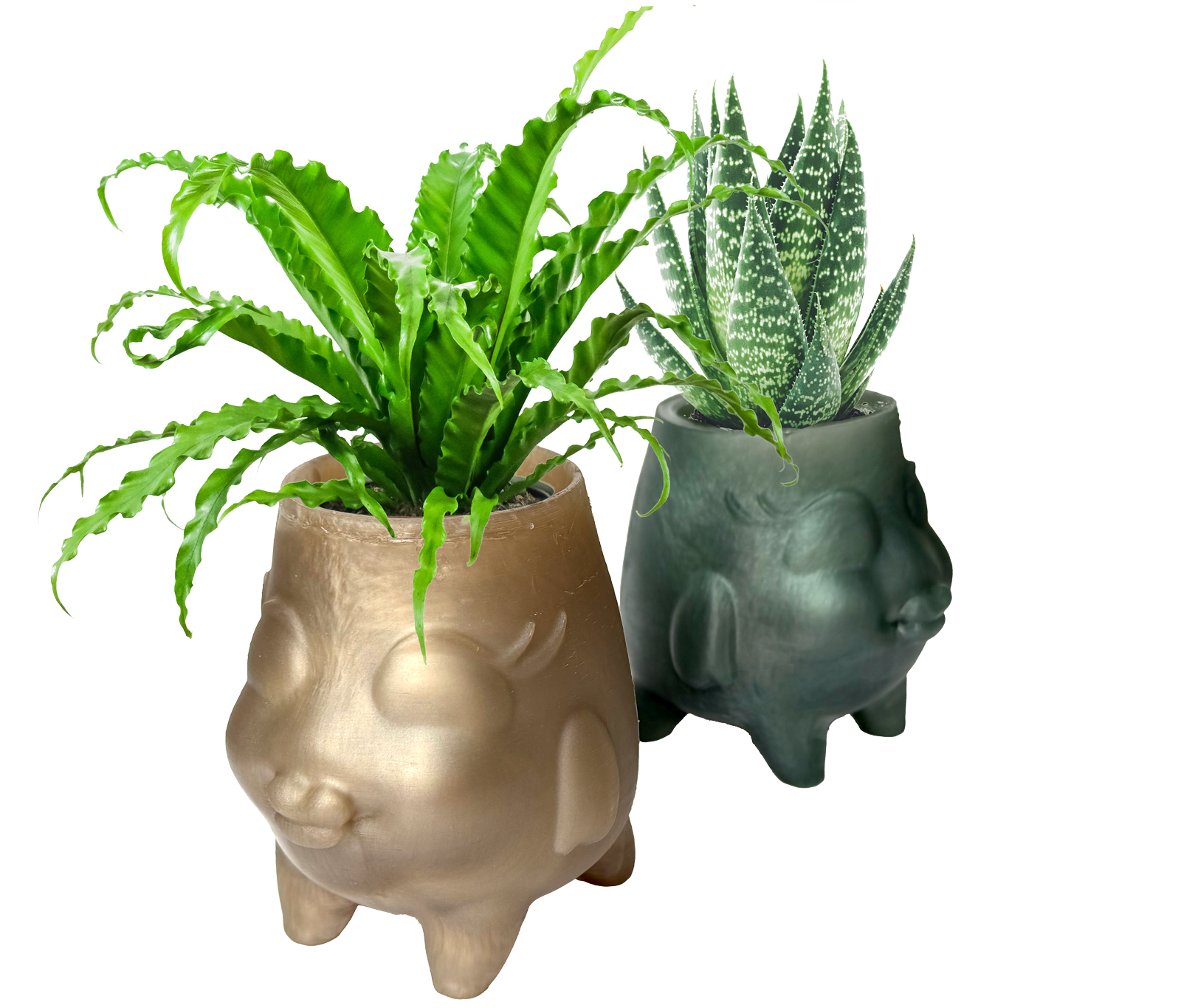 Florish Botanical Vessel